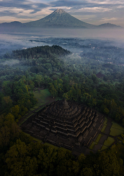 5D yogya